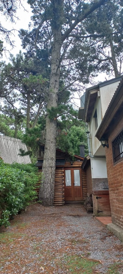 CHALET EN EL PINAR