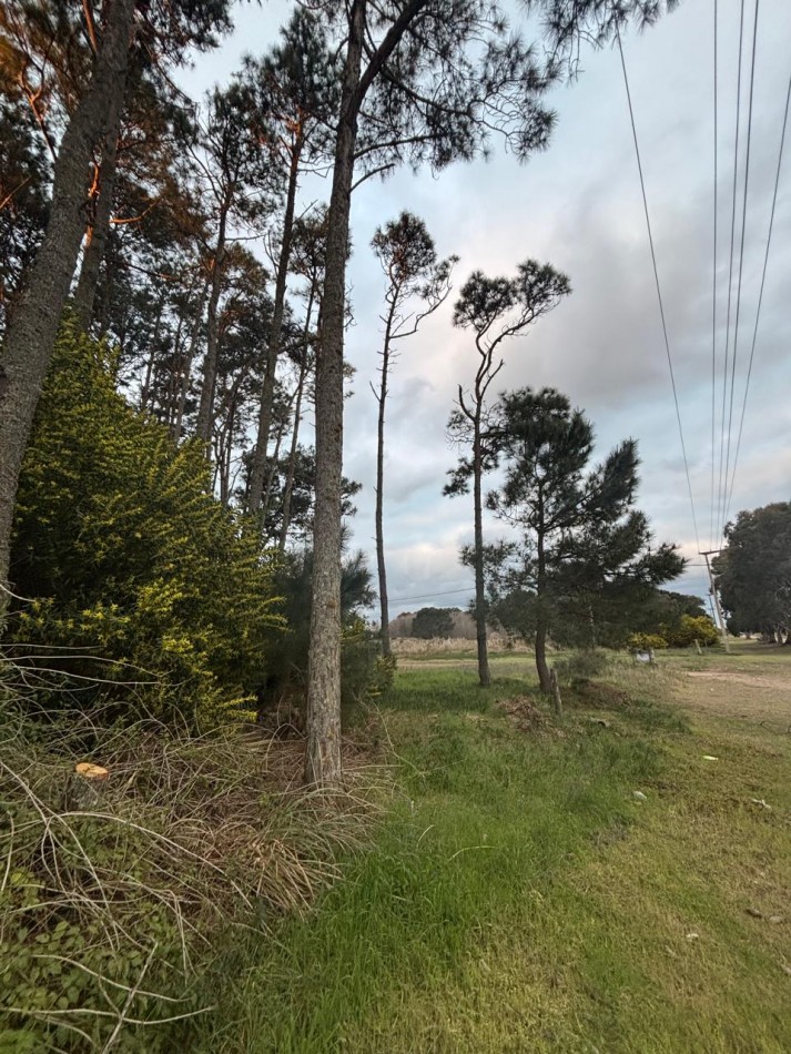 LOTE EN ESQUINA