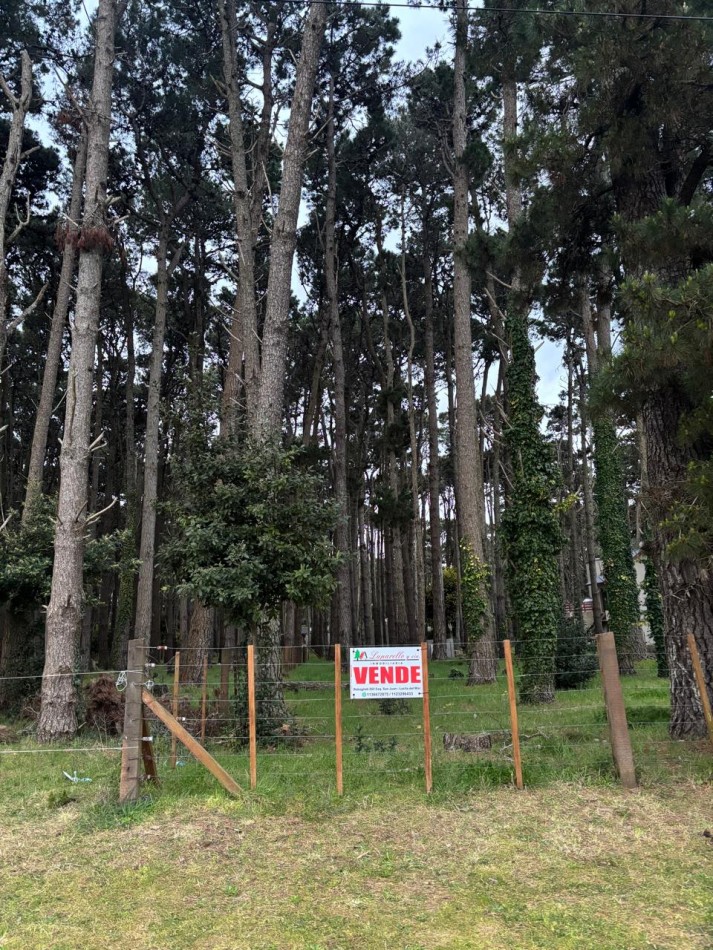 LOTE