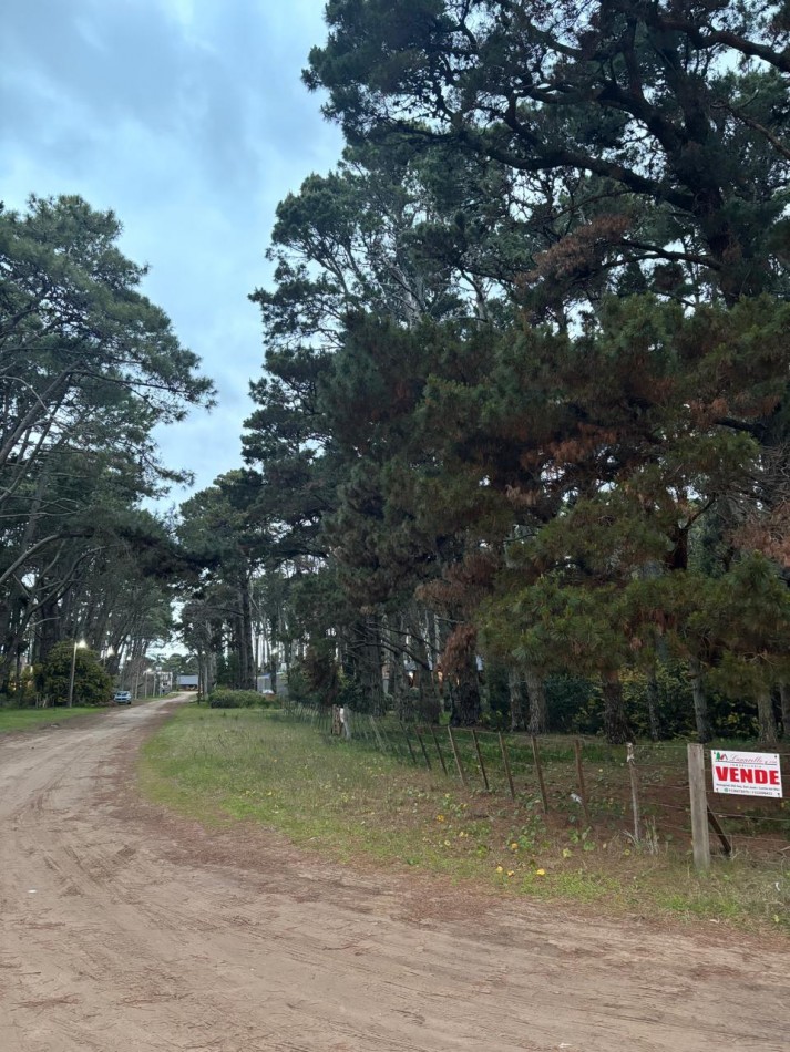 LOTE EN ESQUINA