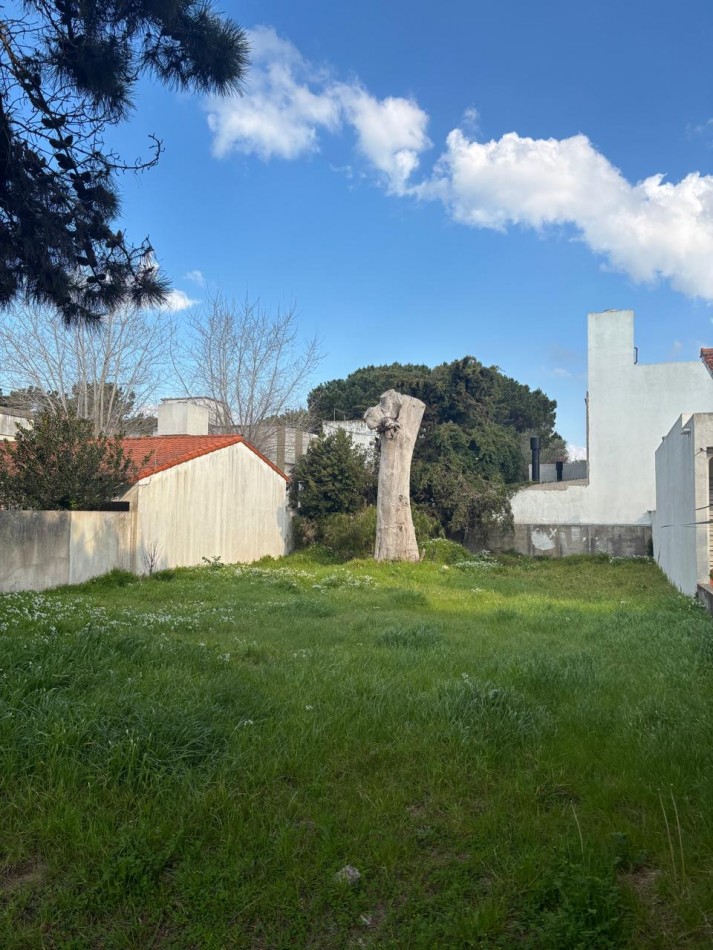LOTE EN EL CENTRO