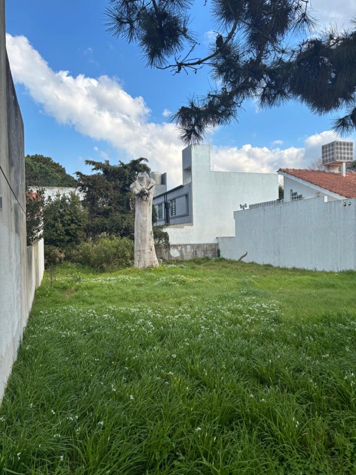 LOTE EN EL CENTRO