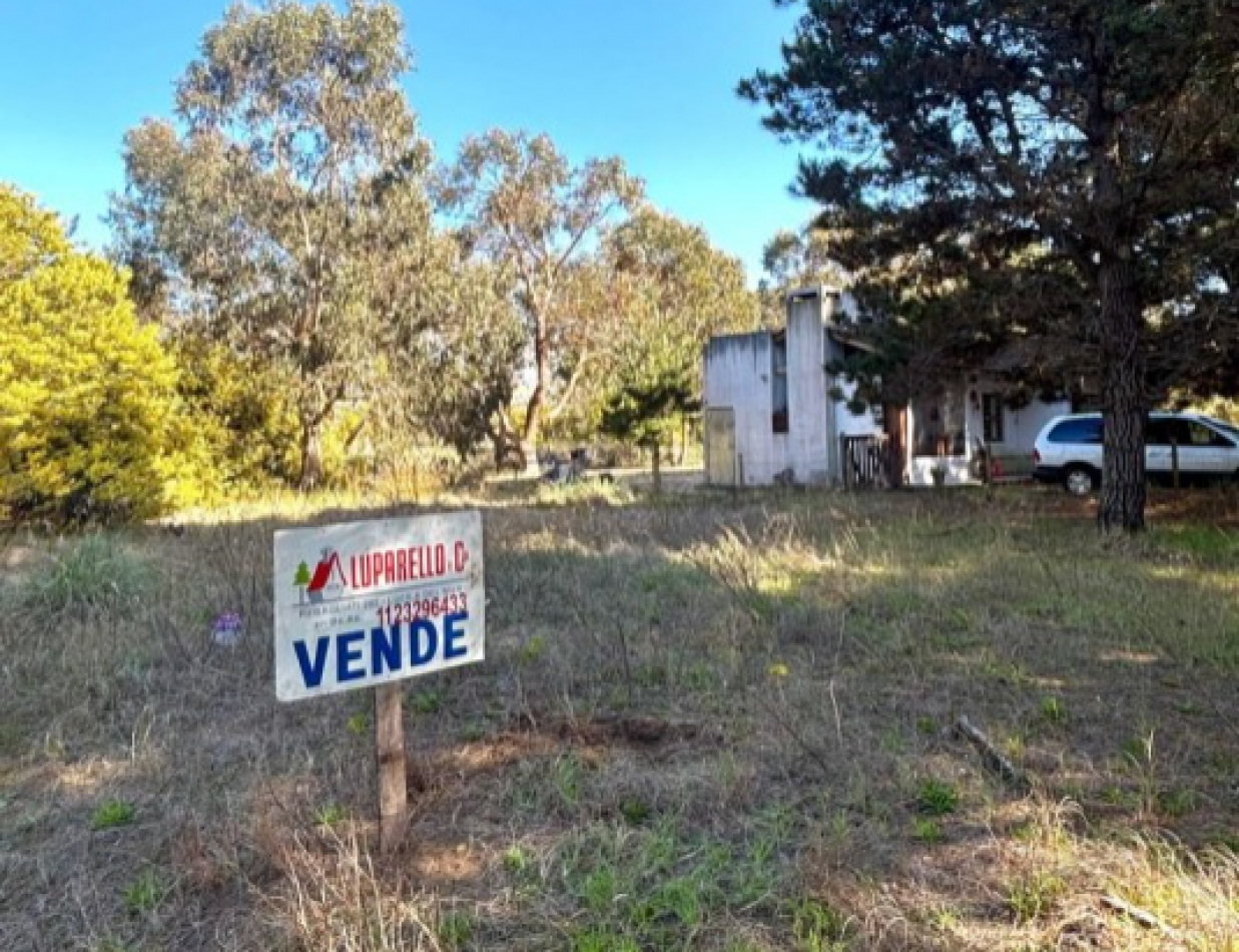 LOTE