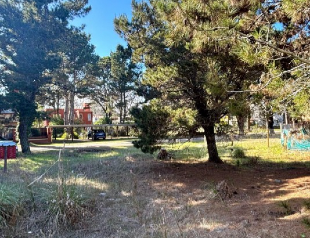 LOTE