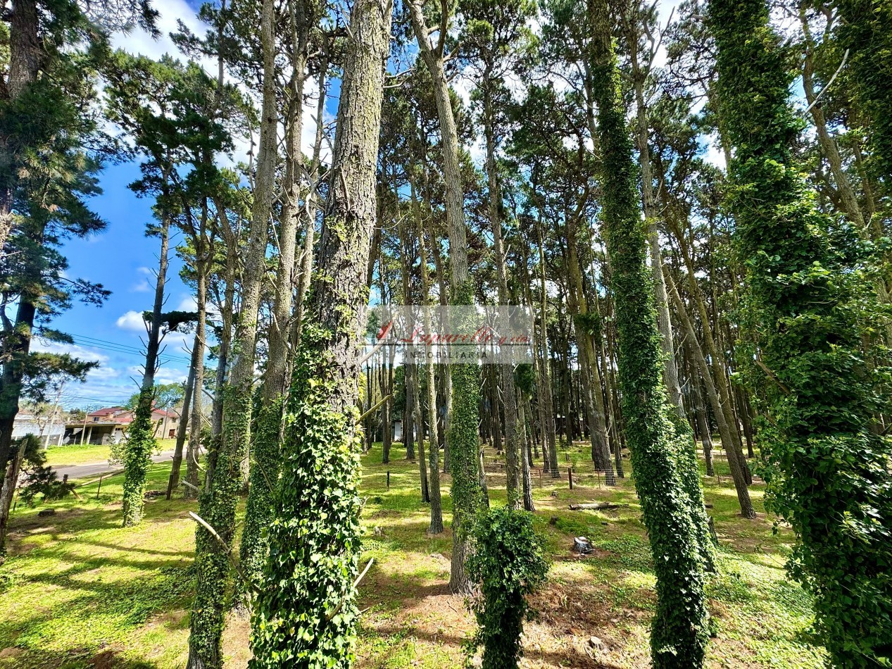 CHALET SOLO EN UN LOTE