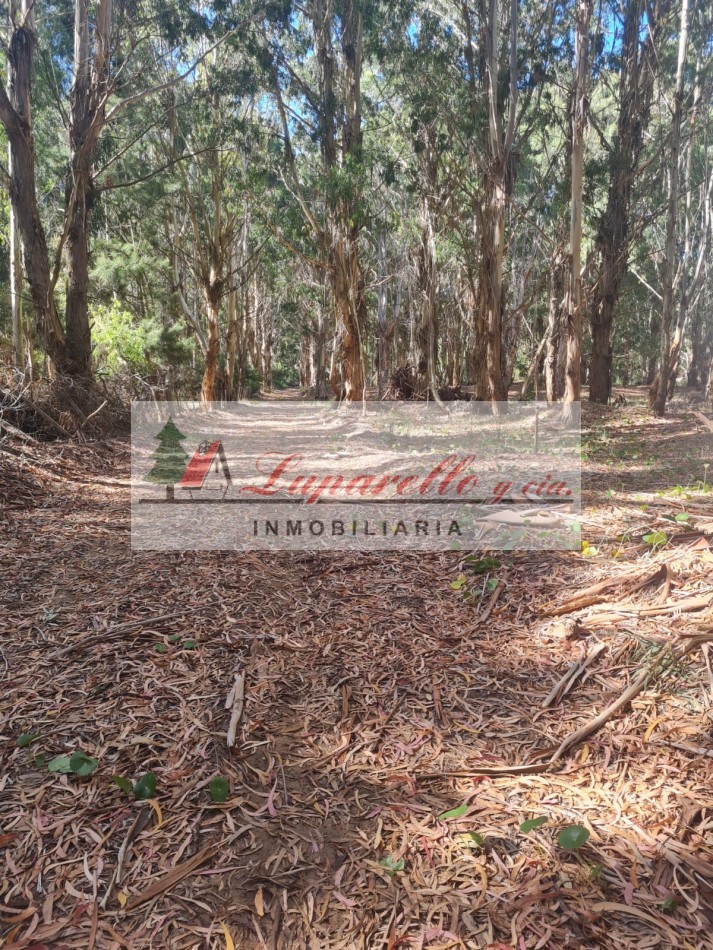 LOTE EN LA ENTRADA DE LA LUCILA DEL MAR