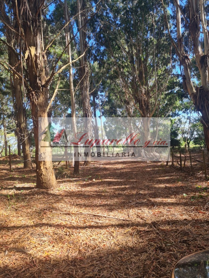 LOTE EN LA ENTRADA DE LA LUCILA DEL MAR