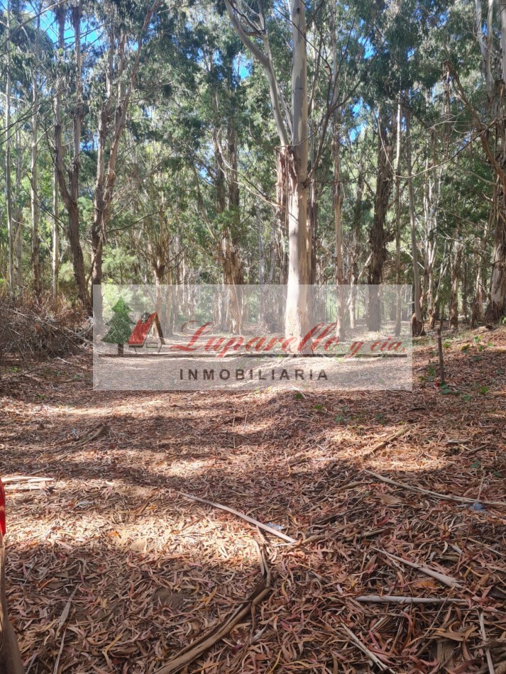 LOTE EN LA ENTRADA DE LA LUCILA DEL MAR