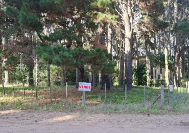 LOTE EN EL PINAR