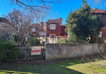 LOTE