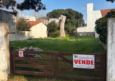 LOTE EN EL CENTRO