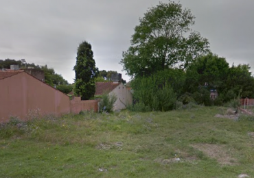 LOTE 