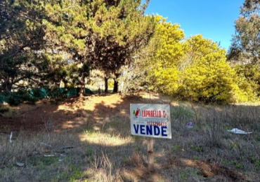 LOTE