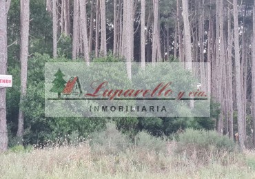 IMPORTANTE LOTE EN ESQUINA DE 1000MTS