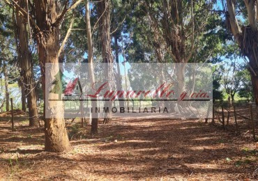LOTE EN LA ENTRADA DE LA LUCILA DEL MAR