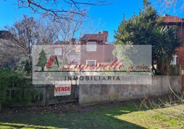EXCELENTE LOTE