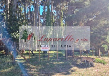 LOTE 20X50
